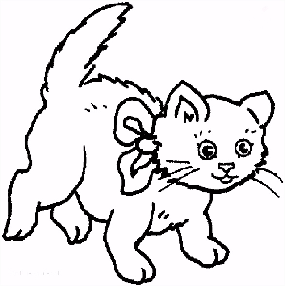 Kleurplaten Poezen En Katten Kleurplaten Nl Kat Archidev M4bt58bin8 Y2zohmtyh4