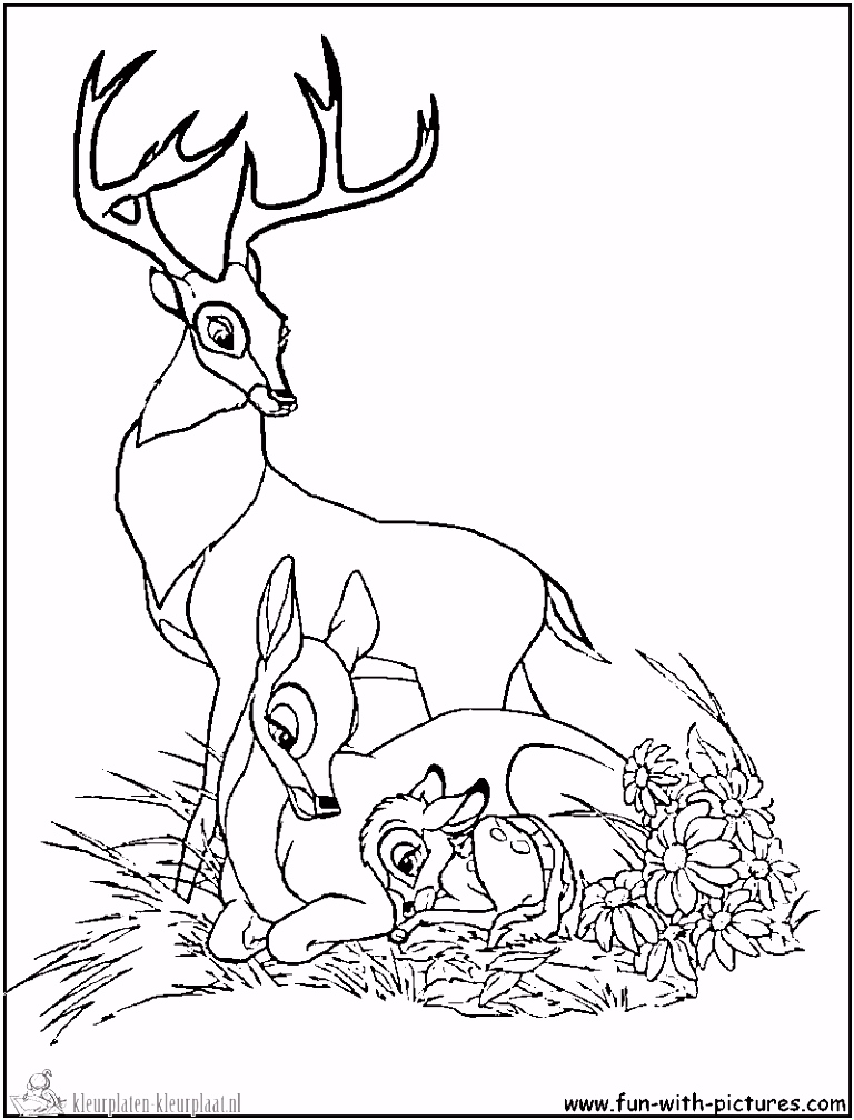 Kleurplaten Pucca Dessins Gratuits   Colorier Coloriage Bambi   Imprimer U2uq99fav7 Nsqw0utap6