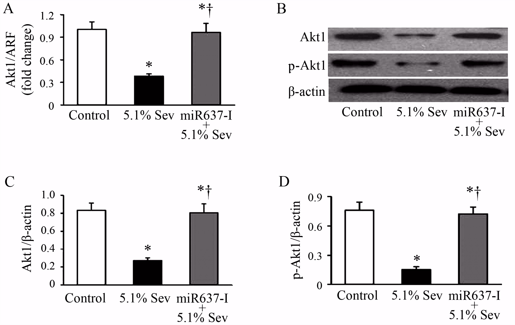 Kleurplaten Rabbids Invasion Sevoflurane Inhibits the Migration and Invasion Of Glioma Cells by Q2zi52txh3 V5mqvusgn5