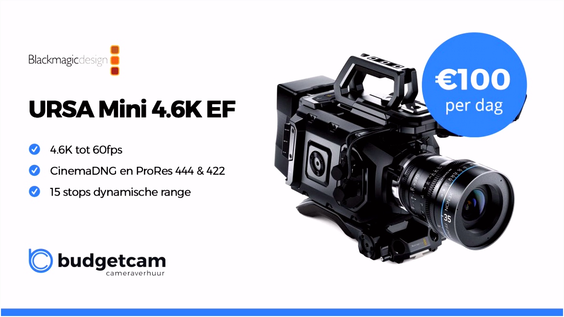 Kleurplaten Shrek 4 Voor Eeuwig En Altijd(forever after) Bud Cam Bud Cam N6uk46tsg0 Usobmhukl2