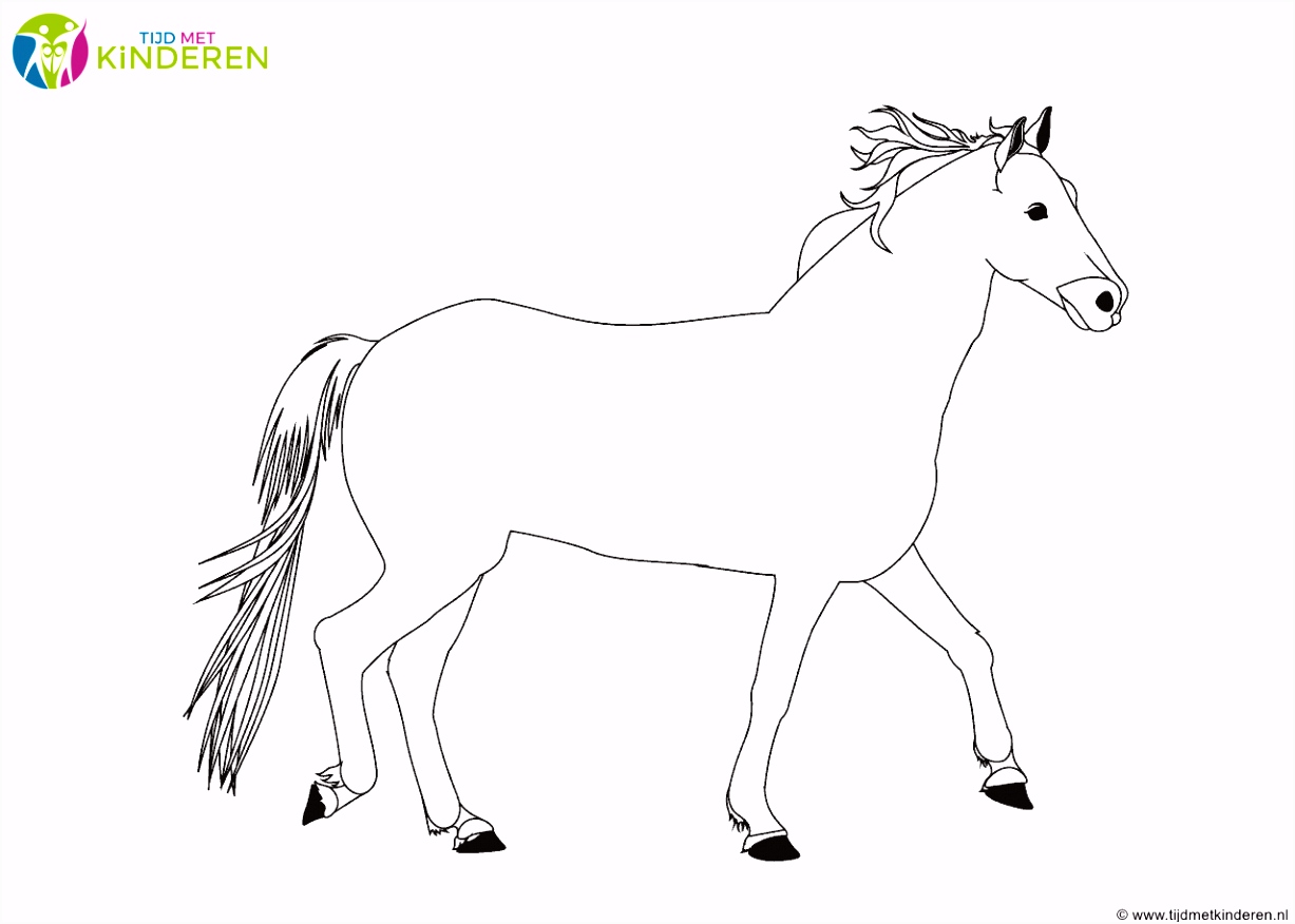 Kleurplaten Sinterklaas Op Zijn Paard Kleurplaat Paard Van Sinterklaas Archidev V8ca11bdg3 E2tx5sbfe5