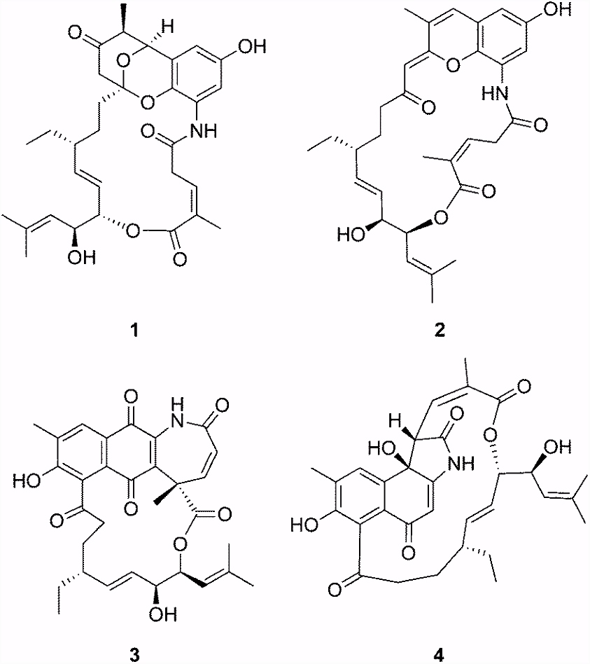 Kleurplaten Splatoon Divergolide Congeners Illuminate Alternative Reaction Channels for P1oa23fuh3 Vmins2elg5