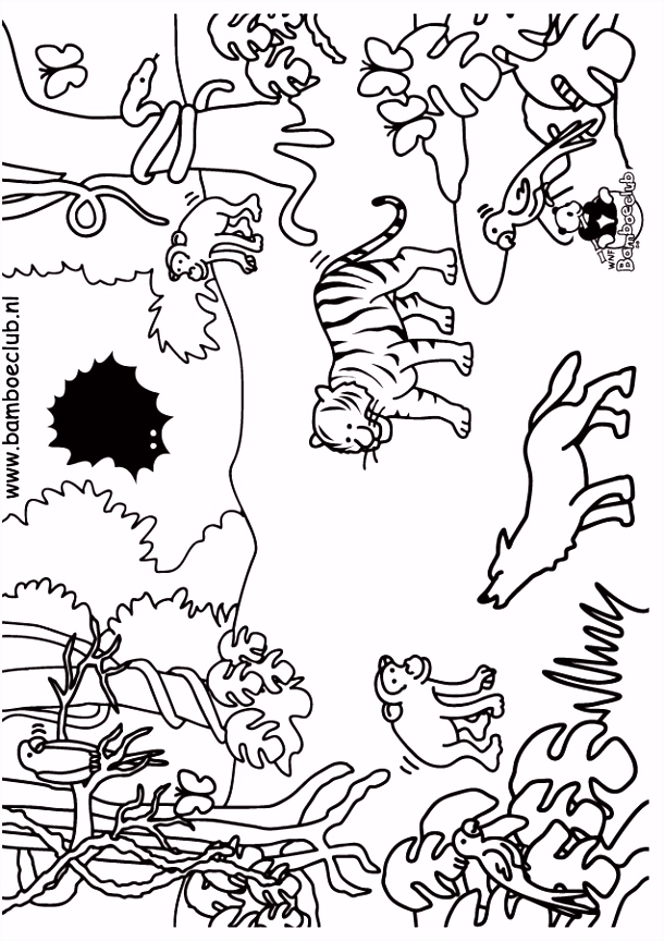 Kleurplaten Tijgers Kleurplaat Tijger Wolf Jungle Kleurplaten B5ec84gdv7 Bsyku5kdh2