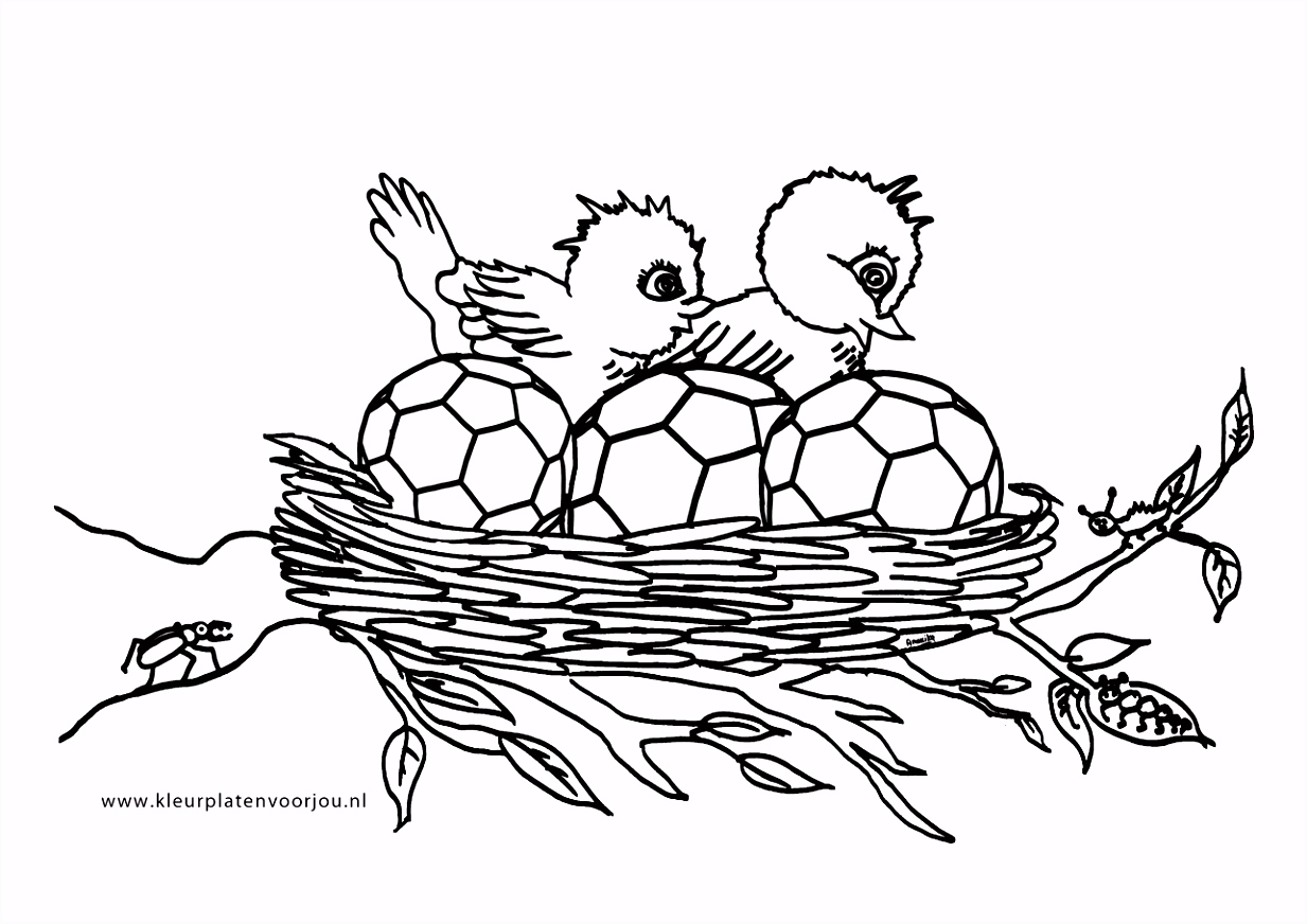 Kleurplaten Vogels Nest Kleurplaat Archidev D3yk55gvg8 T4ukhvczv5