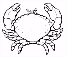 Kleurplaten Zeedieren 99 Beste Afbeeldingen Van Zee Kleurplaten Coloring Pages Y3ub74mue2 W2iam5ekeu