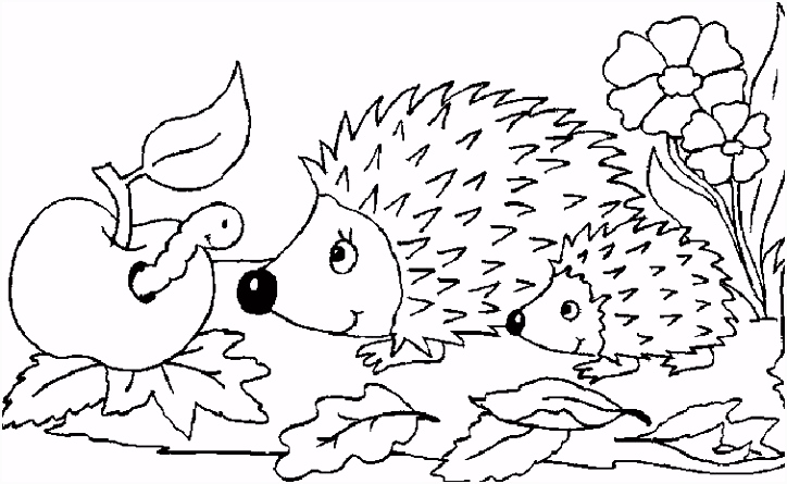 Kleurplaten Zeedieren Dieren Kleurplaten Voor Kinderen Kleurplaat En Afdrukken Tekenen Nº D2yu02qra1 D6uj6slhfs