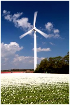 148 beste afbeeldingen van Flevoland for dummies in 2018 Holland
