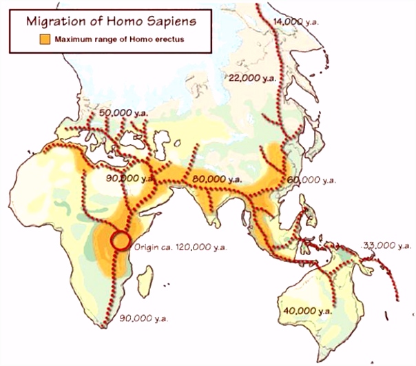 van prehistorie tot de industri le revolutie geschiedenis van de