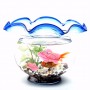9 Robofish