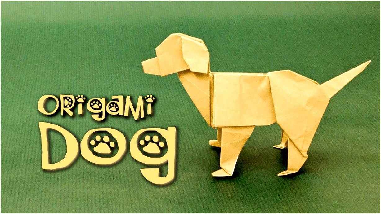 Origami Dog Tutorial Labrador Steven Casey
