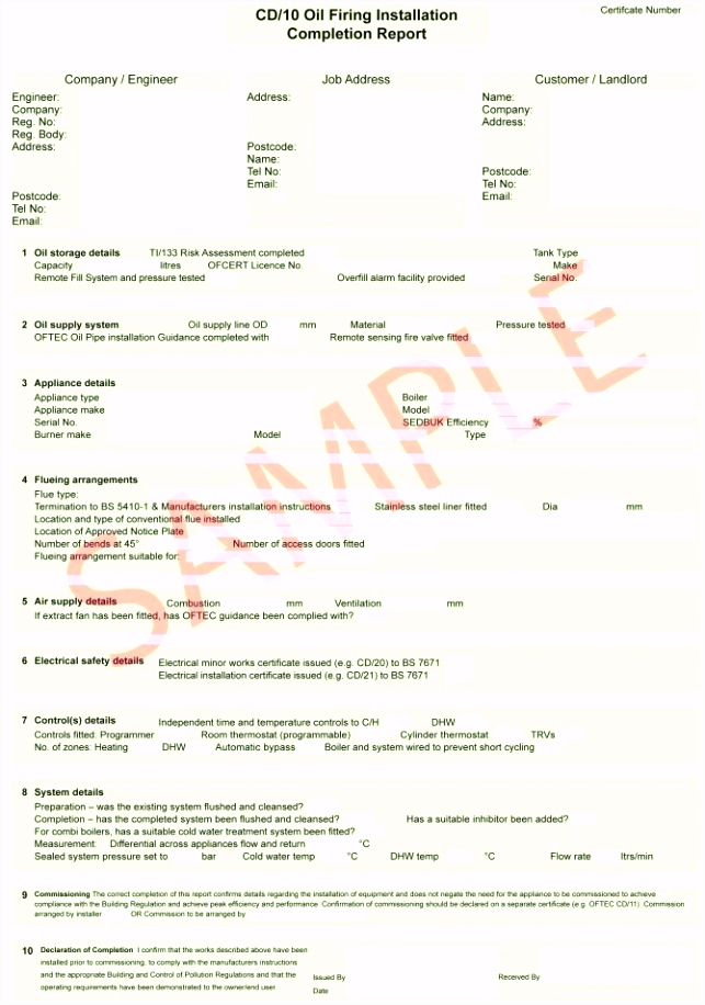 Daily Cash Flow Template