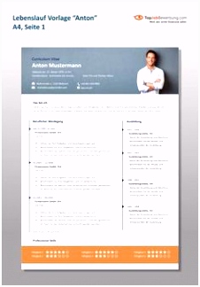 professioneller lebenslauf vorlage kostenlos openoffice Archives