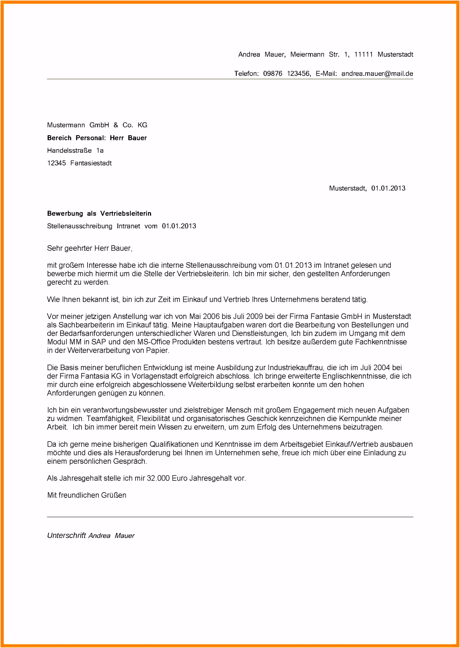 Bewerbung Schreiben Fsj Muster Interne Internes – Bandpagesfo Best