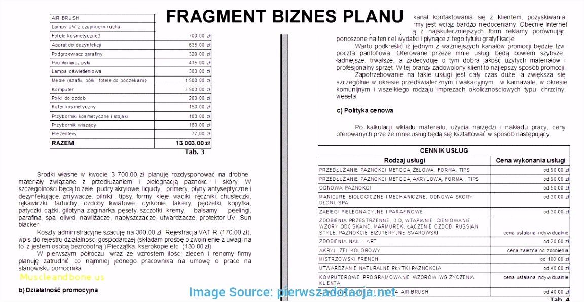 45 Unique Auction Business Plan Template Gallery