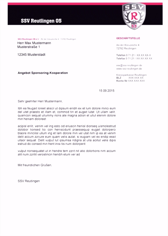 Besten Der Dokumentation Schreiben Vorlage