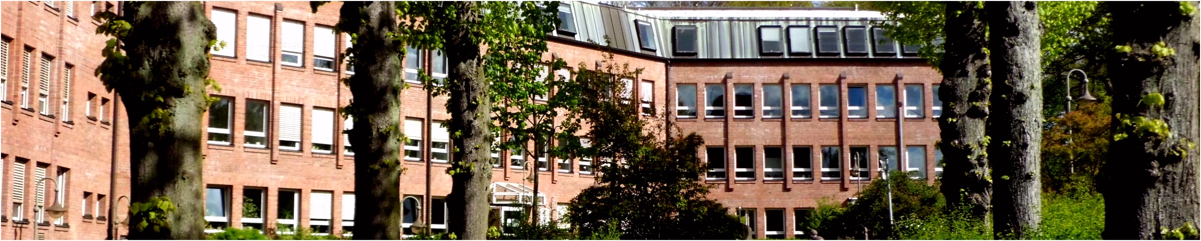 Leistungen von A Z Glinde