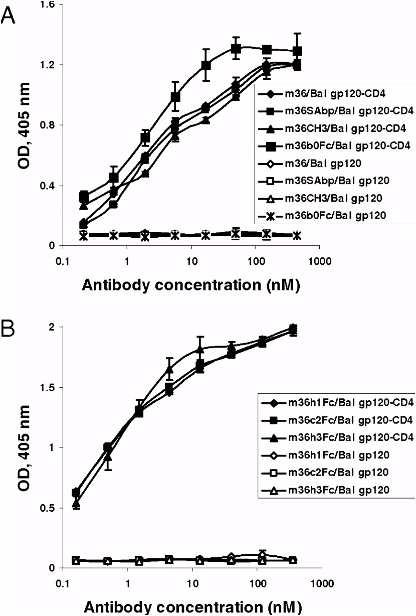 Human domain antibo s to conserved sterically restricted regions