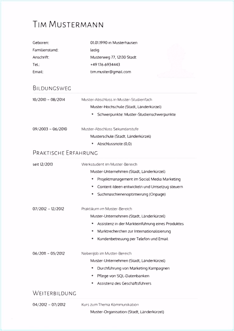 bewerbungsmuster fr bwl lebenslauf designs wissenschaftlicher