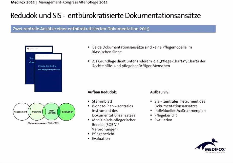 Maßnahmenplan Vorlage Pflege Erstaunlich Elektronische