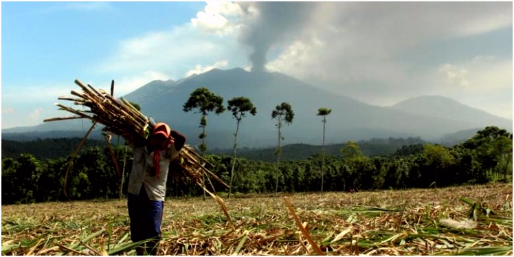 Trekking Gunung Raung – googletour