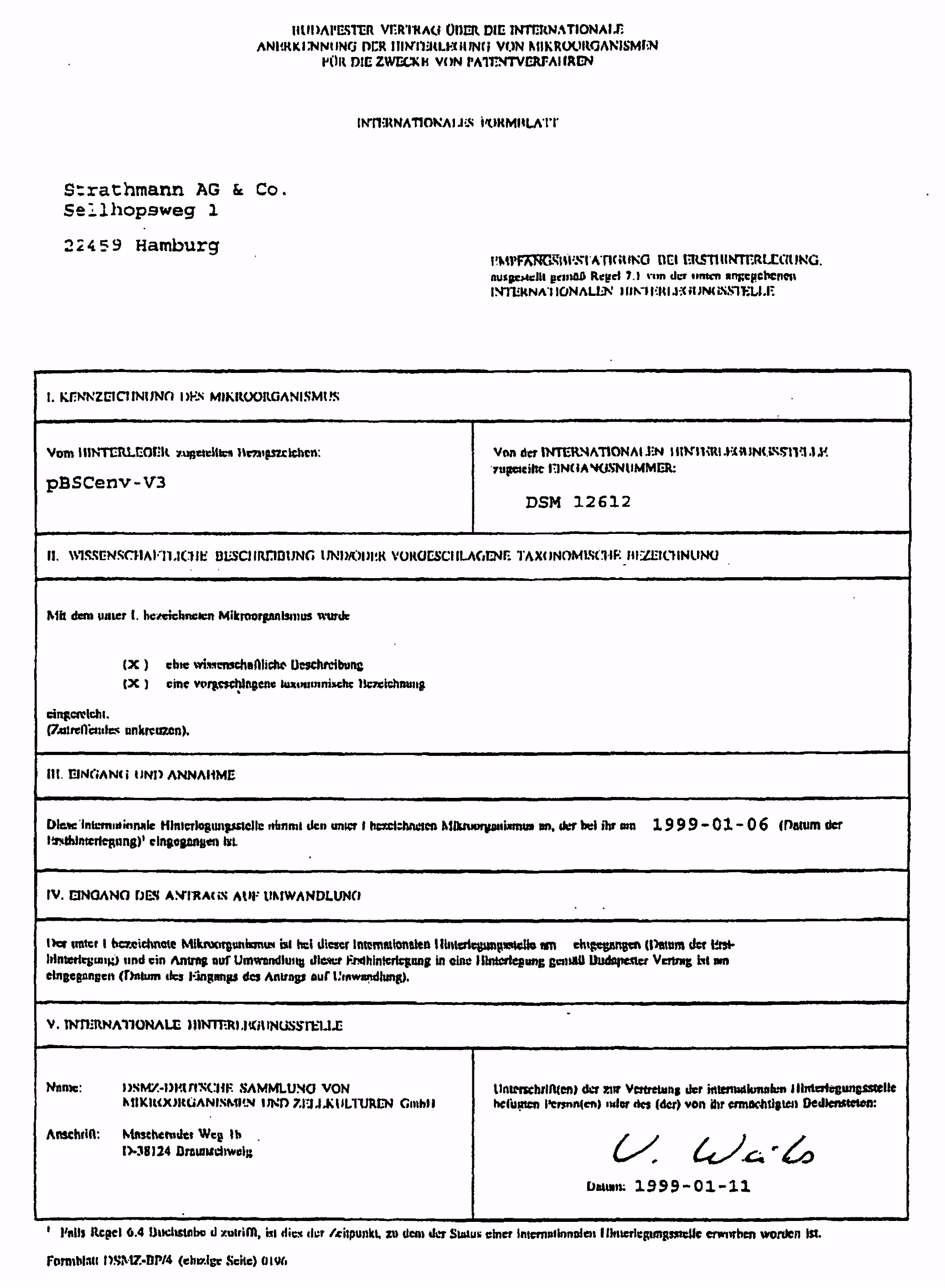 Steckbrief Schuleraustausch Vorlage Ep B1 Viral Vaccine Google Patents M8dz95gkb1 Jhsz0mtlau