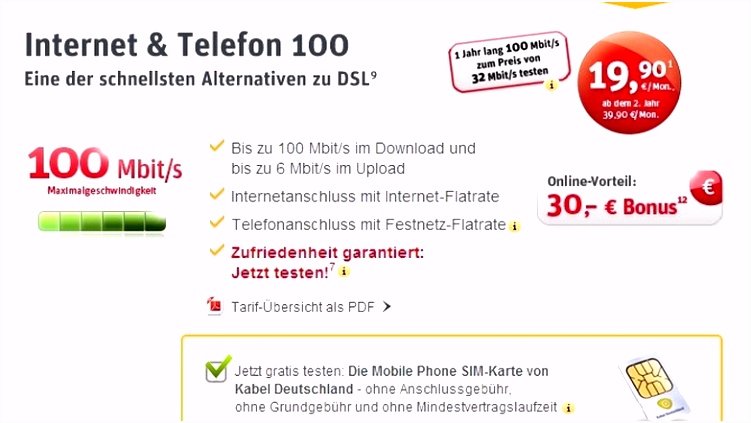 Kabel Die Alternative aus der TV Buchse CHIP