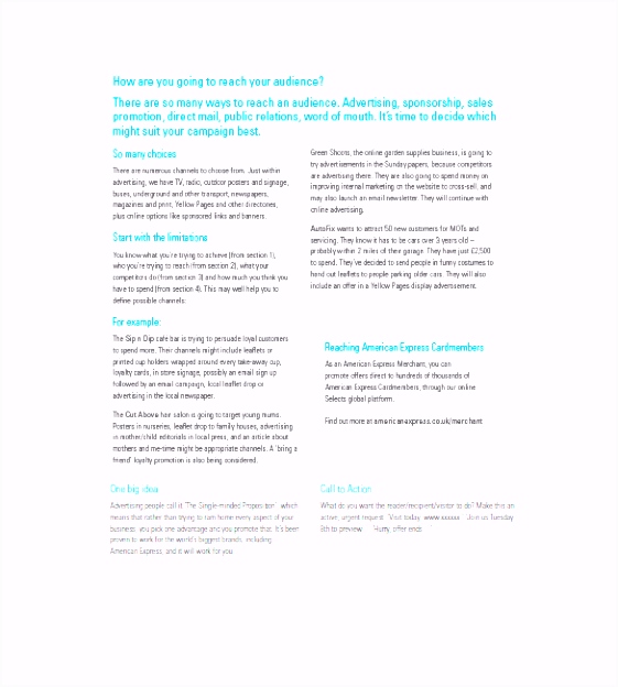 Marketing Plan Template Pdf Marketing Campaign Plan Template 11 Free