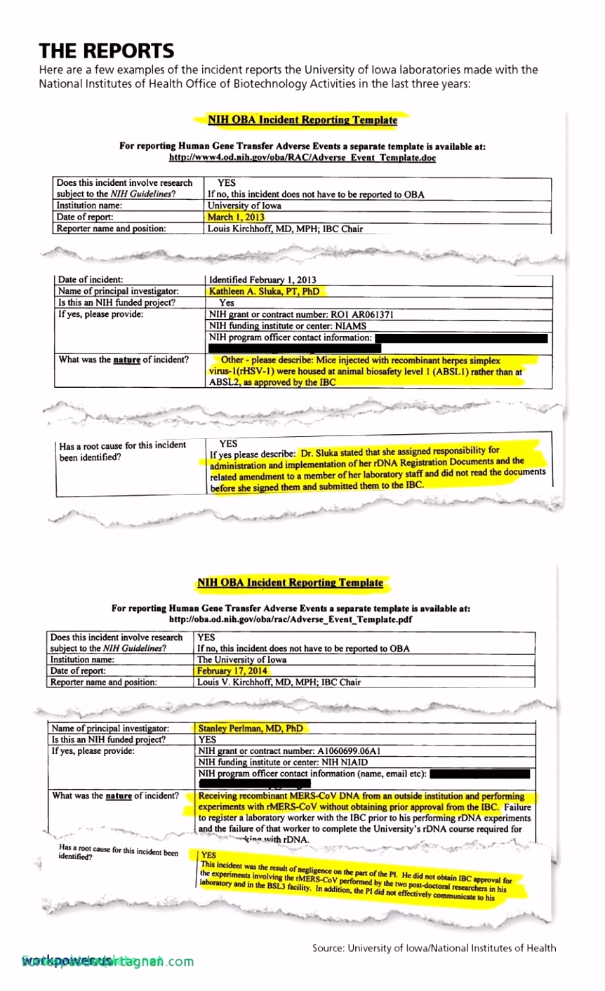Fresh Lab Report Template lt49 – Documentaries For Change