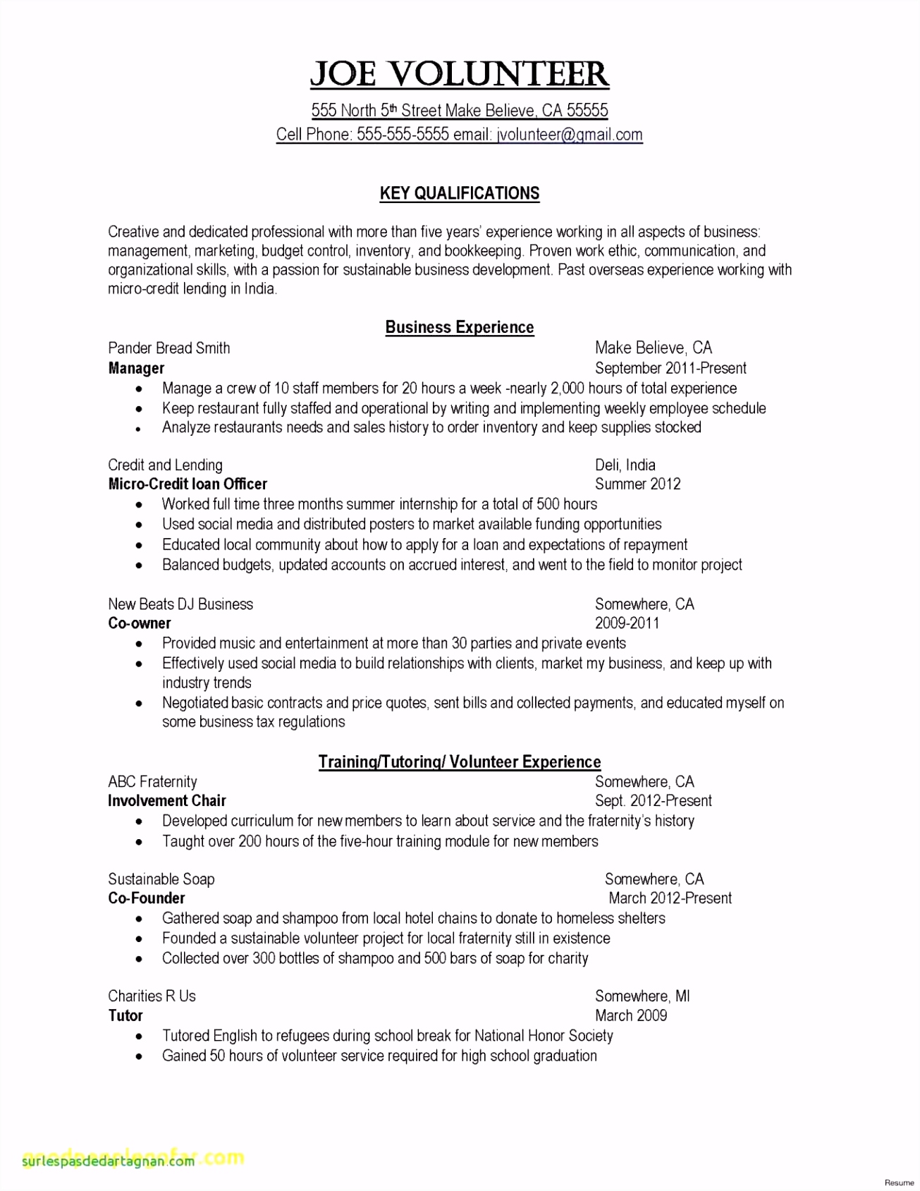 Marketing Plan Template Excel Heritageharvestfarm