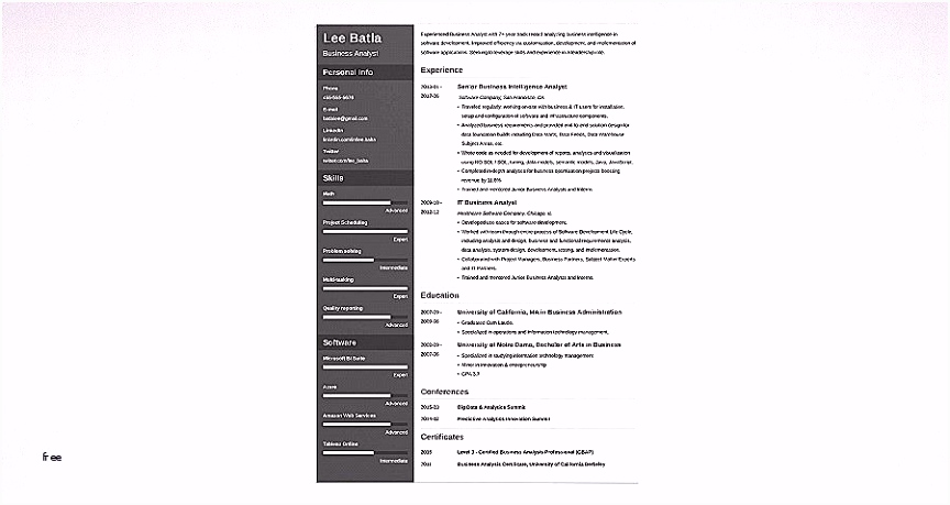 Analyst Resume Sample – liguefrancilienne