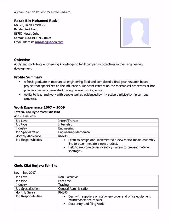 Template Word Cv Cv Layout Template Word New Cv Templates 0d