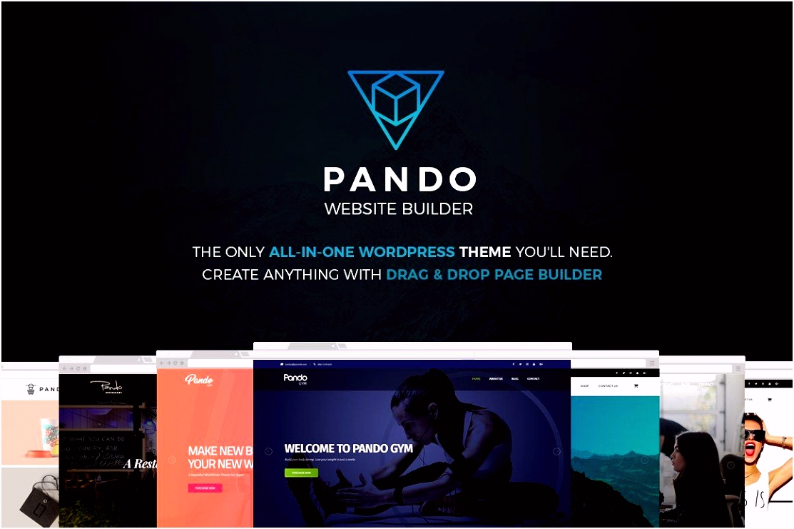 Pando Website Builder WordPress customization easy options unique