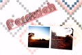 7 Aida Fotobuch Vorlage