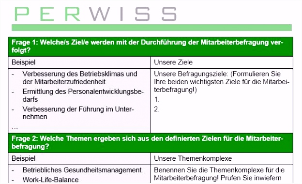 Mitarbeiterbefragung Muster