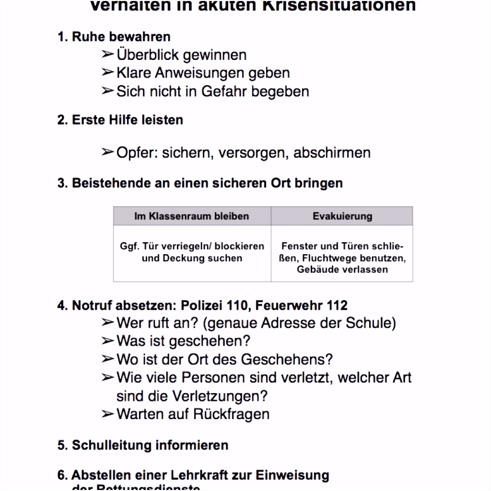 Notfallplan Muster