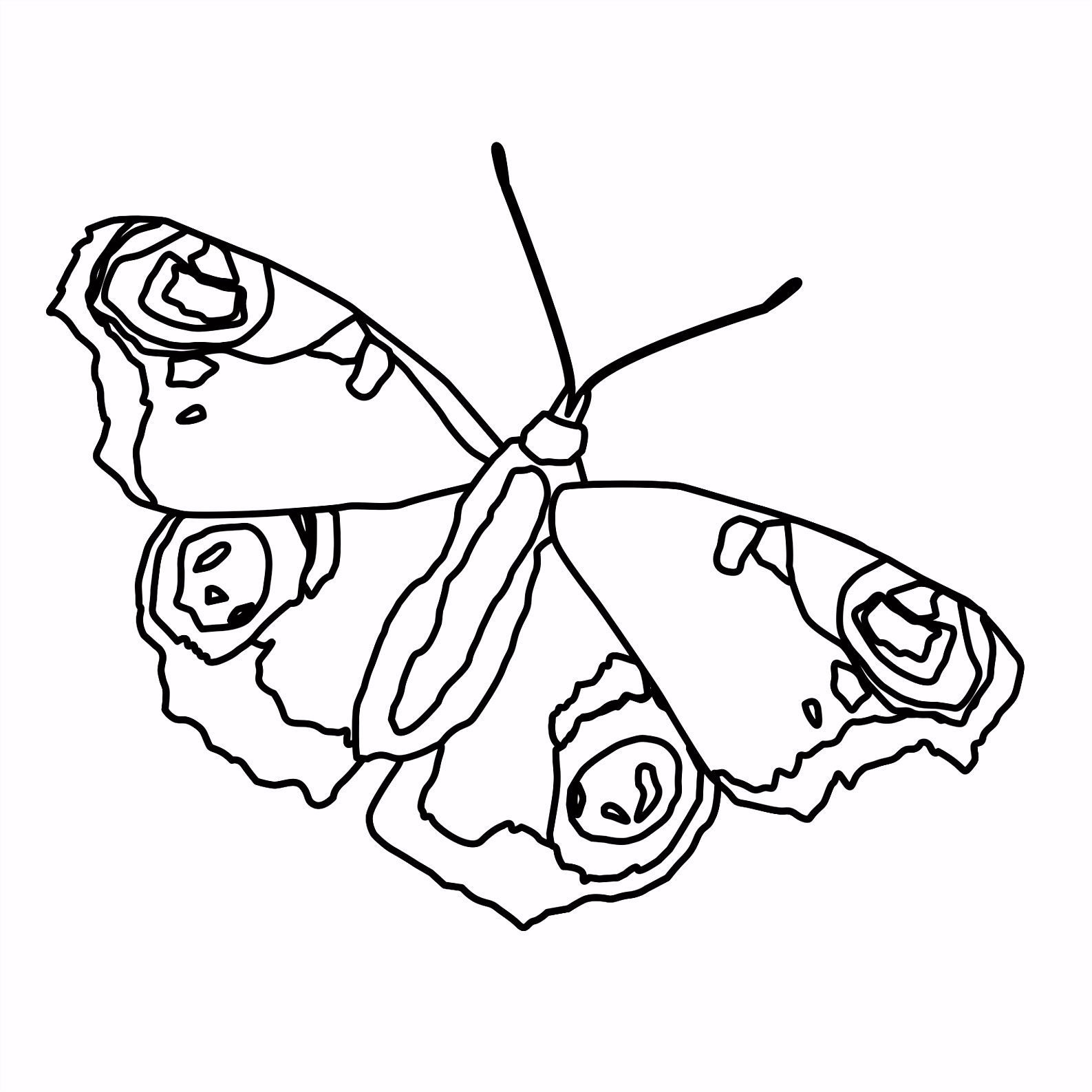 Window Color Vorlagen Schmetterling Beau s Kostenlose
