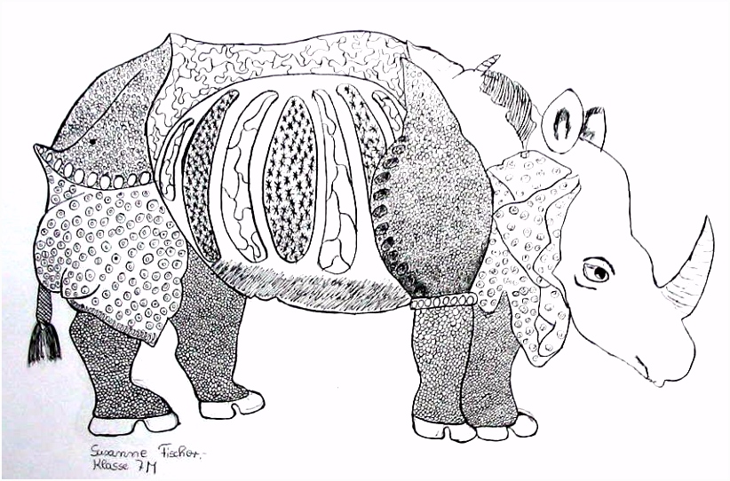 Ein Rhinozeros