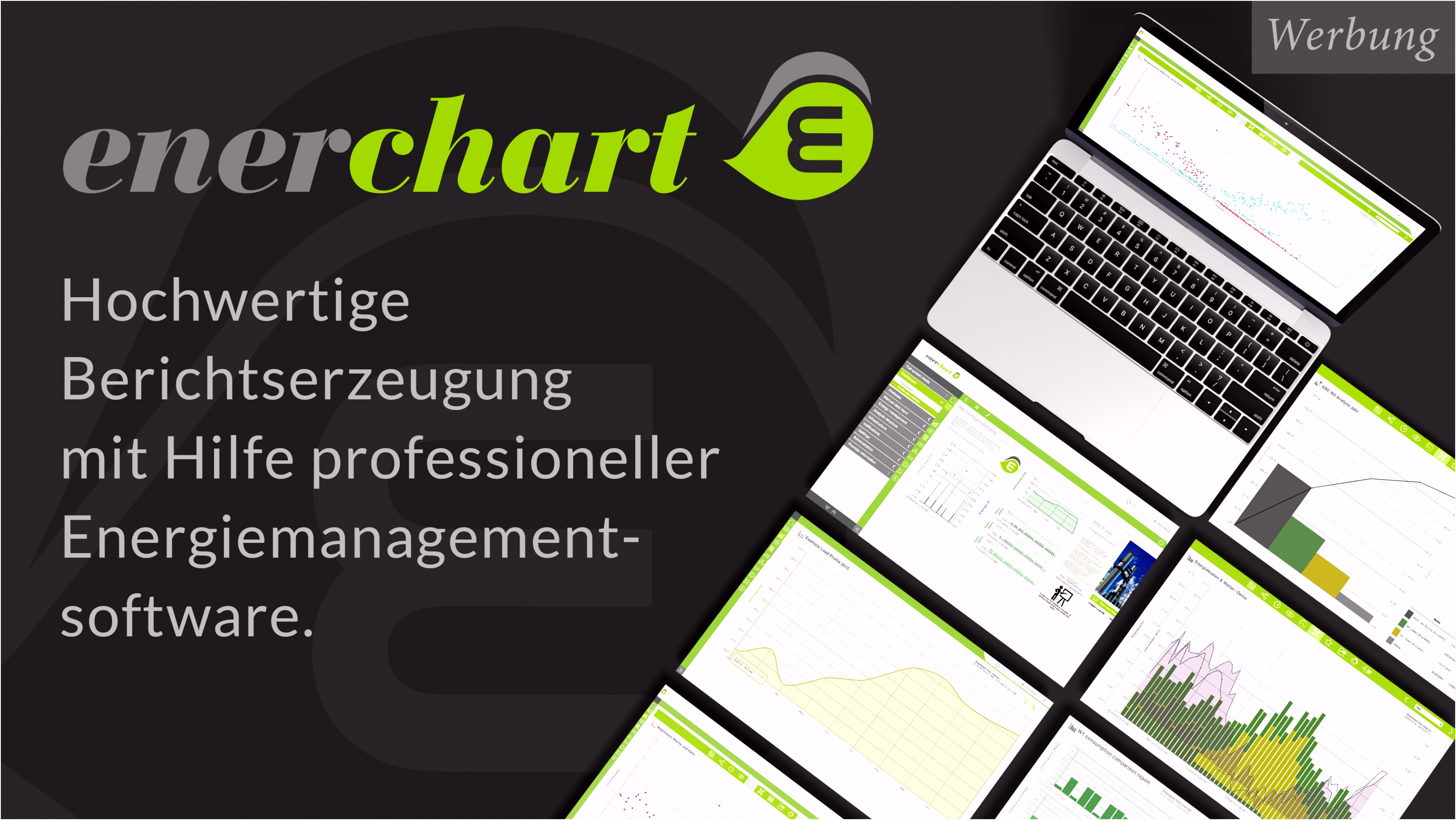 Musterberichte
