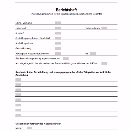 Langzeitlieferantenerklärung Ihk Vorlage Wunderbar Ihk Berichtsheft