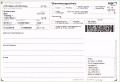 5 Schmerztagebuch Vorlage Pdf