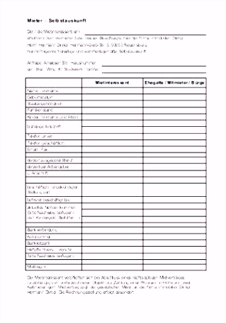 6 Mieterselbstauskunft Vorlage Immobilienscout24 Lsmdqd