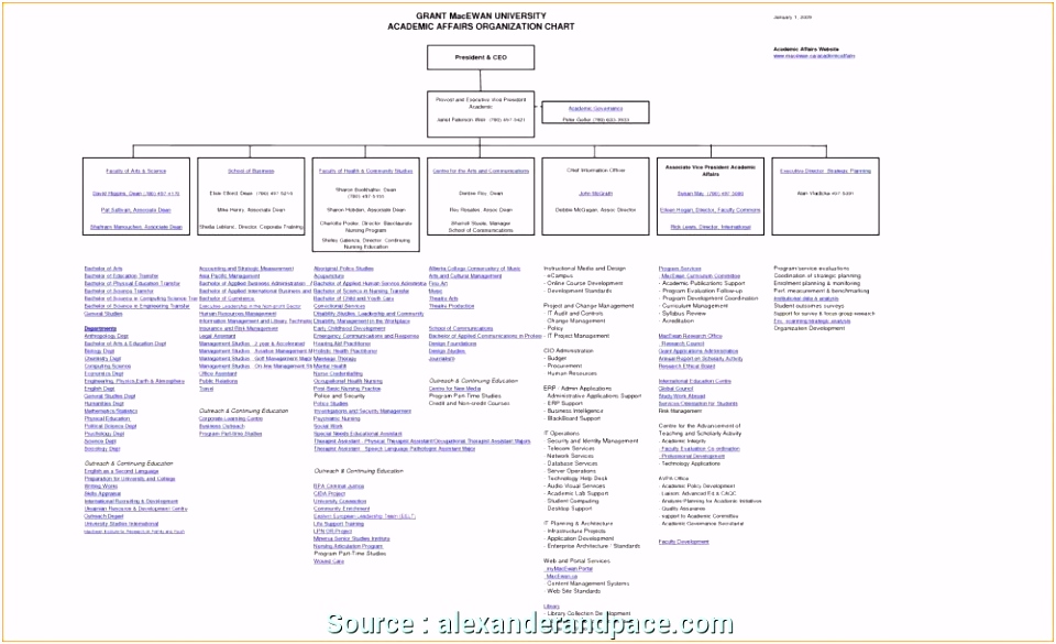 7 Perfect Media Plan Flow Chart Template s Tiger Growl