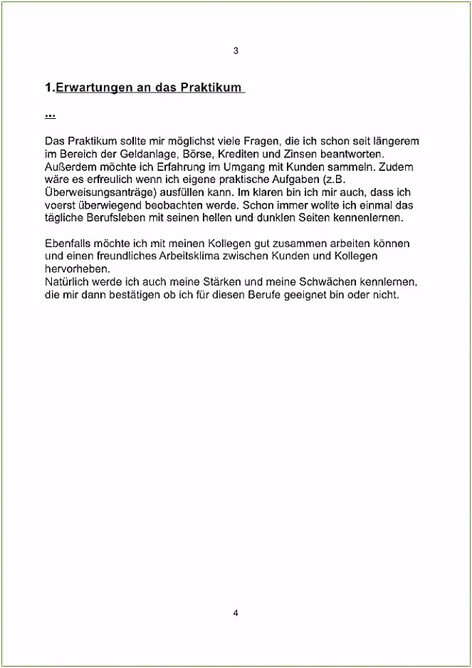 Tagesbericht Praktikum Muster