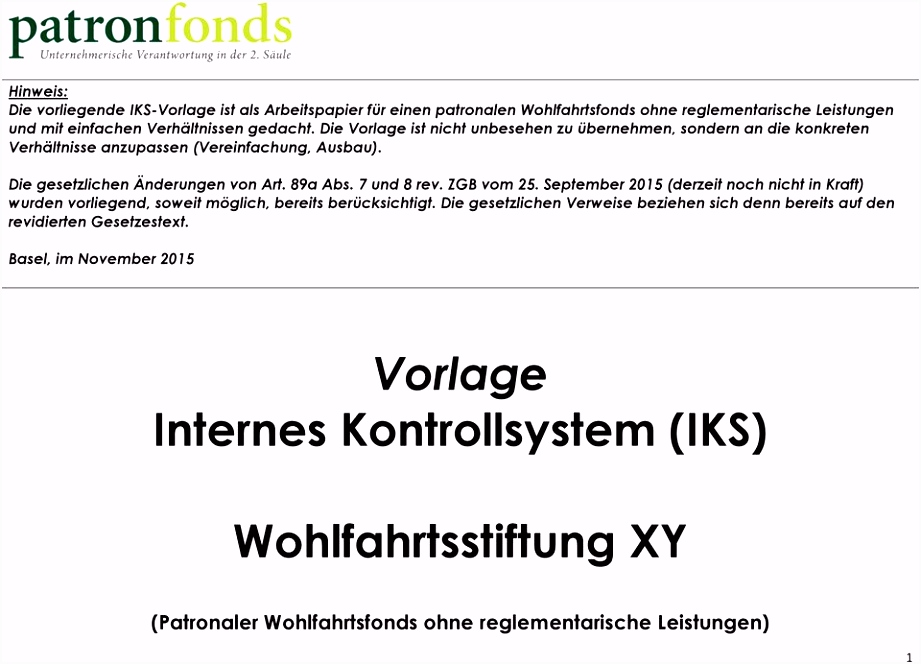 Vorlage Internes Kontrollsystem IKS Wohlfahrtsstiftung XY PDF