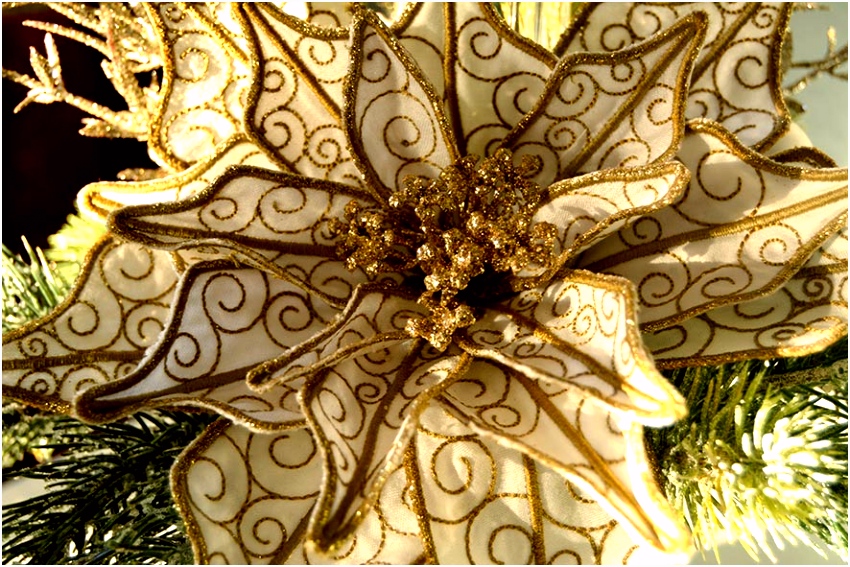 BERNINA V8 – Tutorial 3D Poinsettia Part 1 BERNINA Blog