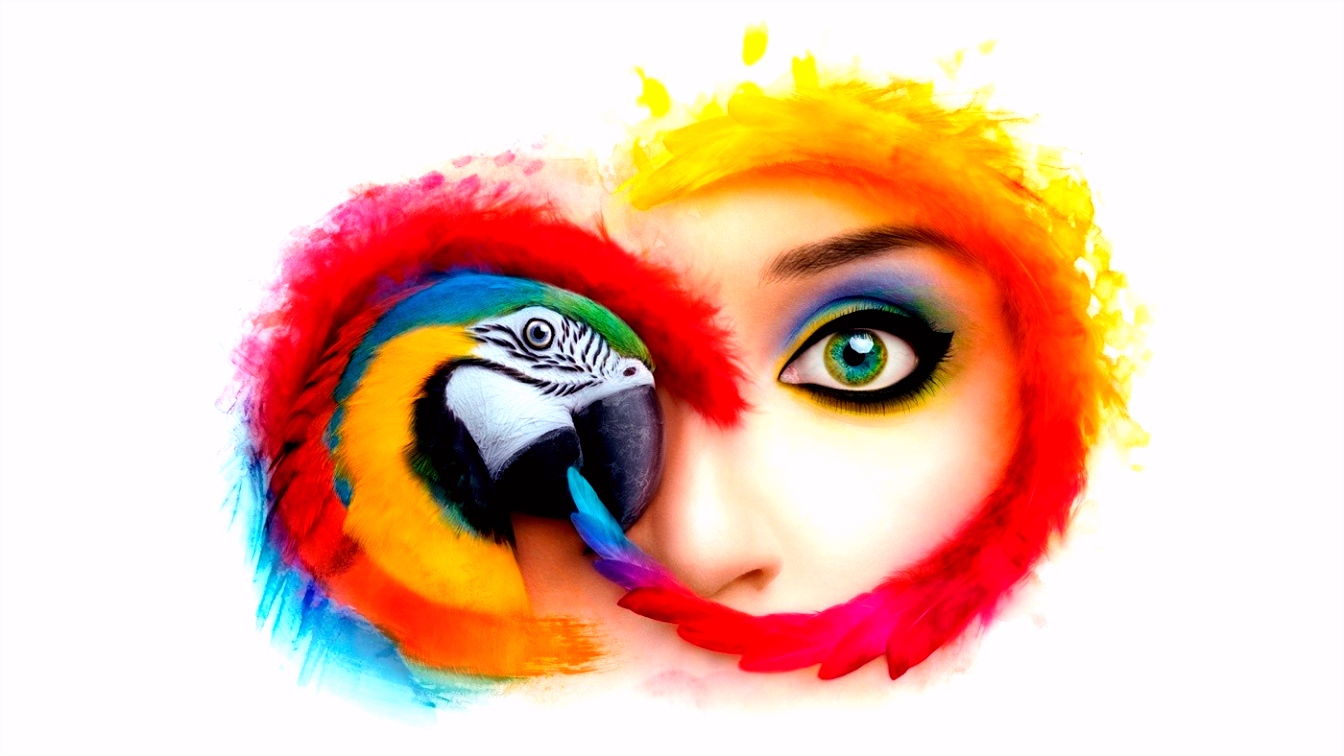 Adobe Creative marketing and document management solutions