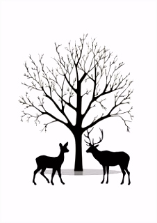Die 11 besten Bilder auf Hirsch Silhouette
