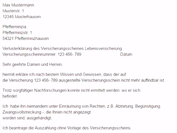 Verlusterklärung des Versicherungsschein Vorlage Download CHIP