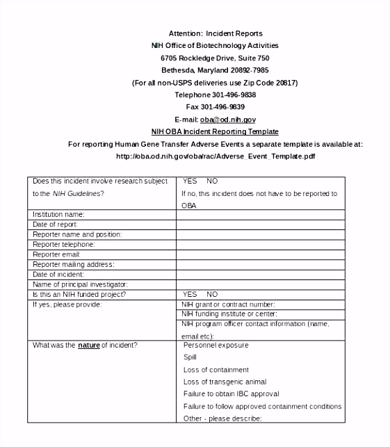 Gewinn Und Verlustrechnung Vorlage Pdf 6 Kostenlose Excel