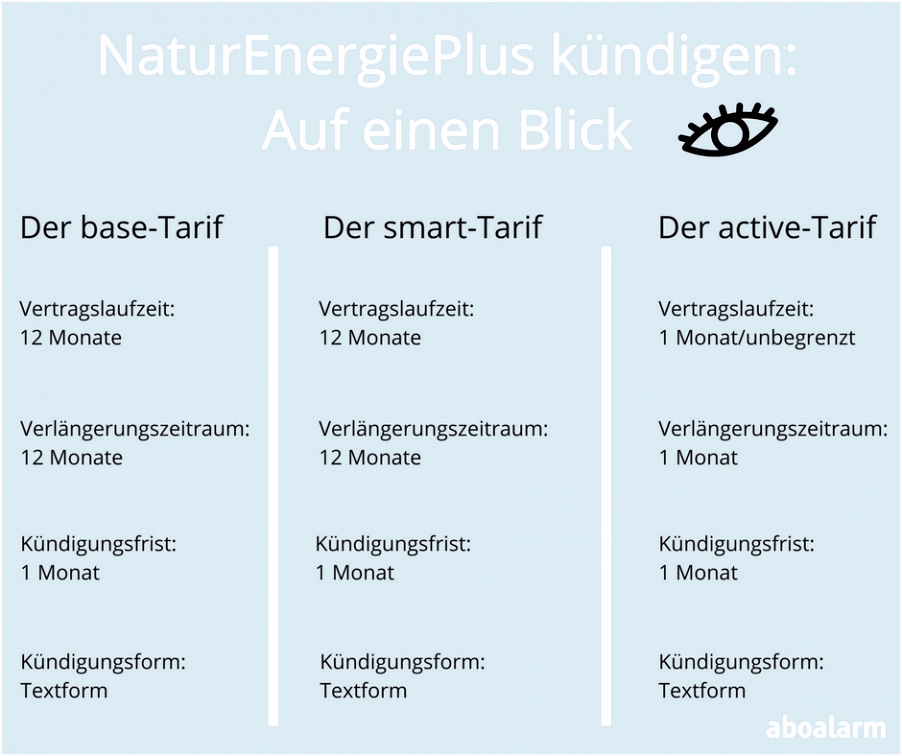 NaturEnergiePlus kündigen So kündigst du den "fairsten
